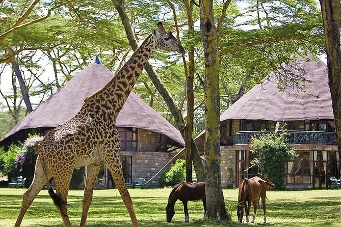 15 Days Classic Kenya & Tanzania + Zanzibar Beach Holiday - Tarangire and the final safari drive