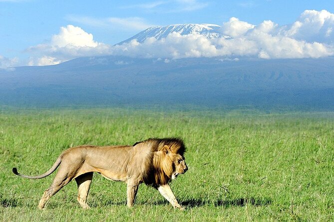2-Day all inclusive safari to Amboseli National park from Nairobi - Why two days works well in Amboseli