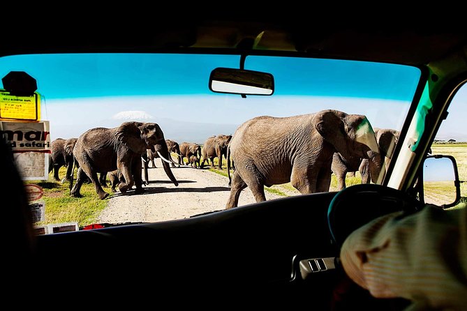 2-Day Amboseli National Park Safari- Daily Departures - Key points to know before booking