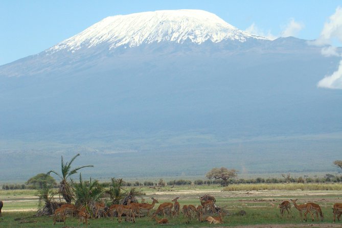 2-Day Amboseli Safari - What the $1,225 price includes