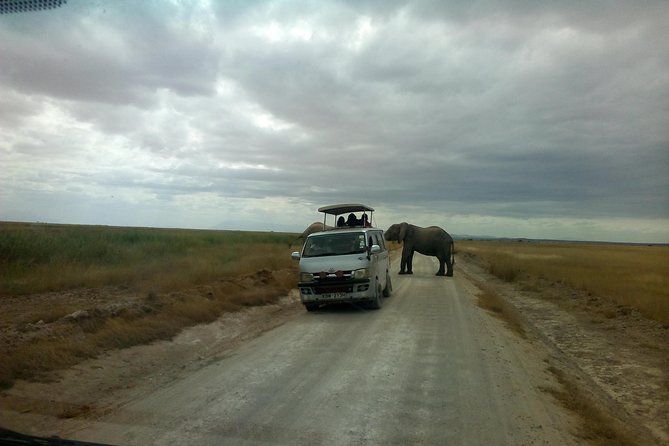 2-Day Amboseli Safari - Leaving Nairobi at 6:00 am