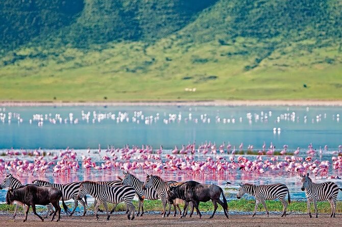 2-Day Hell's Gate, Crescent Island and Nakuru - Private Safari - Key points to know before booking