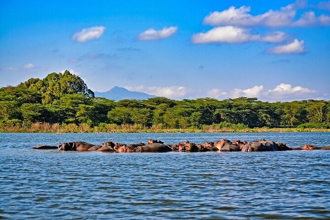 2-Day Hell's Gate, Crescent Island and Nakuru - Private Safari - Hell’s Gate at 3 p.m.: choose wheels, boots, or the minibus