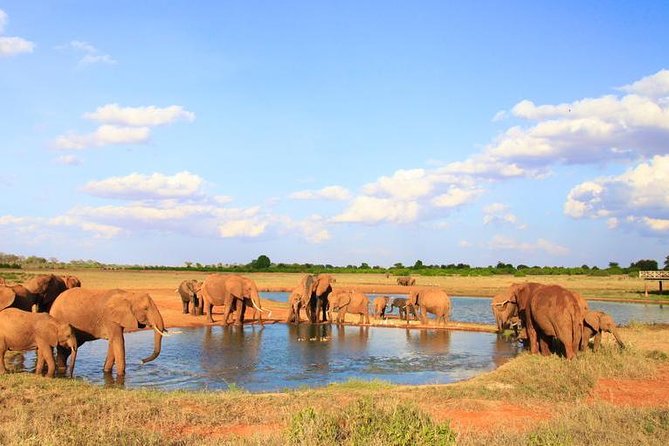 2-Day Mombasa to Tsavo East Safari - Why Tsavo East works well from Mombasa