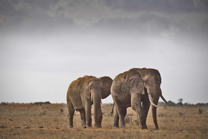2-Day Mombasa to Tsavo East Safari - The three-hour road journey to Tsavo East