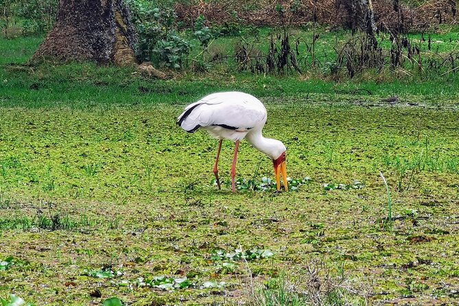 2-Day Private Safari to Lake Nakuru and Hell's Gate Parks - What the $551.70 Price Buys You