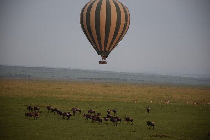 2-Day Private Tour in Masai Mara with Pick Up - The optional Maasai village visit