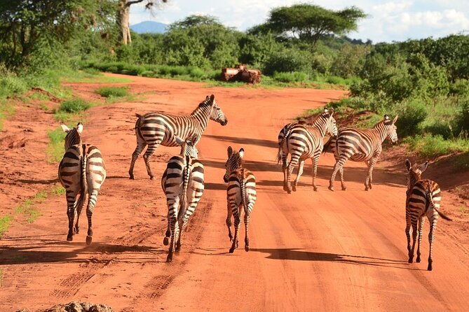 2-Day Private Tour in Tsavo East - Leaving Mombasa at 7:00 am