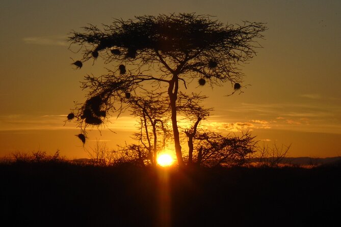 2-Day Private Tour in Tsavo East - Day one: first game drive and an evening search