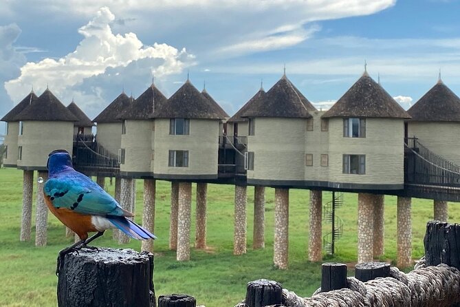 2-Day Private Tour Tsavo East and West from Diani Beach - Key points to know before booking