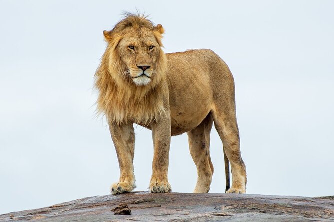 2-Day Private Tour Tsavo East and West from Diani Beach - Why combining Tsavo East and Tsavo West works