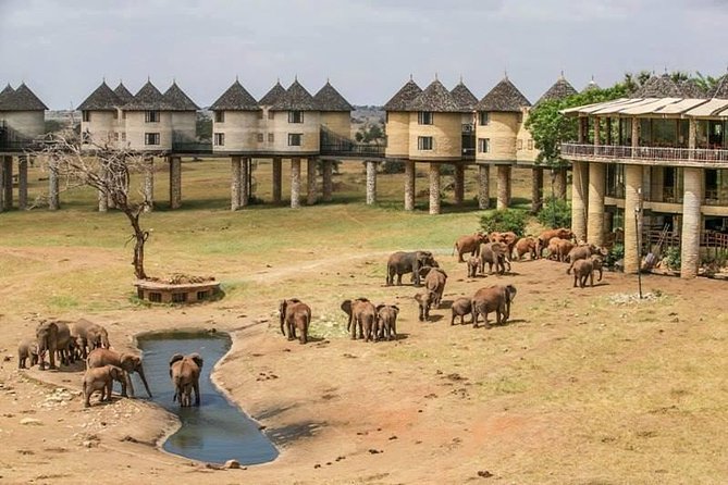 2-Day Safari in Taita Hills from Mombasa - Leaving Mombasa at 6 a.m. for Voi