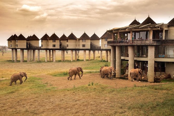 2-Day Safari in Taita Hills from Mombasa - Meals, accommodation, and guide quality