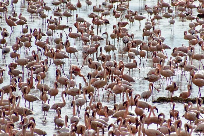 2 Day Tour Hells Gate, Lake Naivasha & Lake Nakuru from Nairobi - The Great Rift Valley viewpoint at 7 a.m.