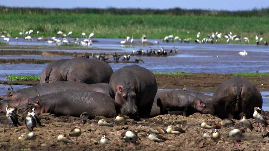 2 Day Tour Lake Nakuru, Hell' s Gate & Lake Naivasha - Why this two-day route works from Nairobi