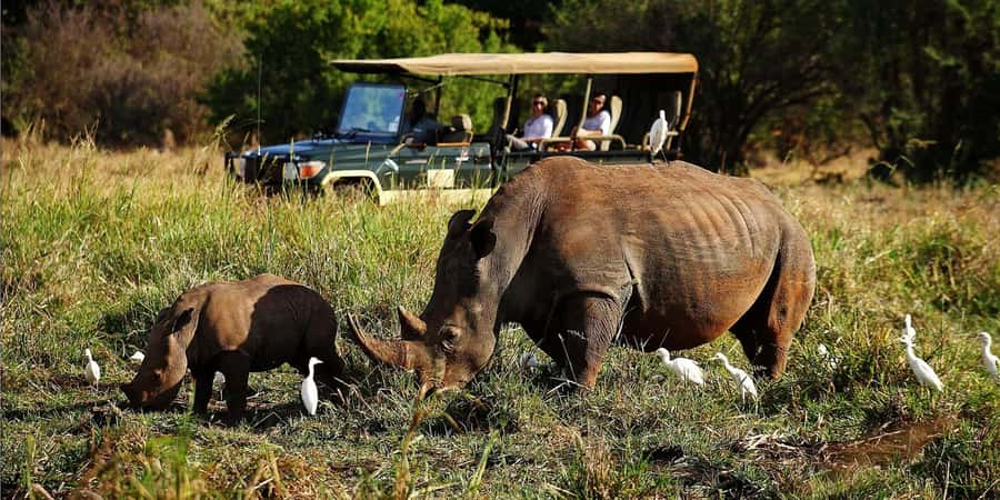 2 Day Tour Lake Nakuru, Hell' s Gate & Lake Naivasha - The role of the guide and driver