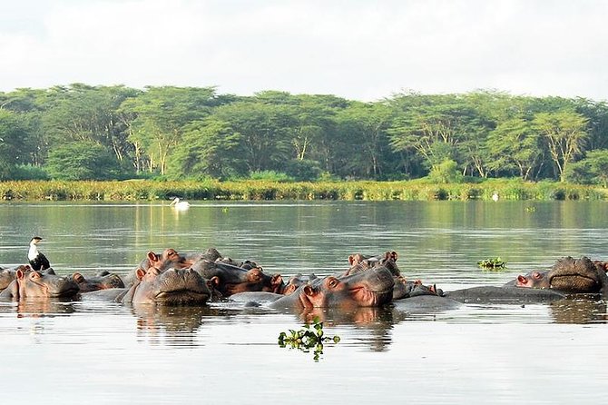 2 Day Tour Lake Nakuru, Hell' s Gate & Lake Naivasha From Nairobi - Who will enjoy this two-day trip most