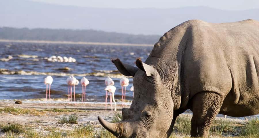 2 Day Tour Lake Nakuru, Hell' s Gate & Lake Naivasha Safari - Why this two-day route works well from Nairobi