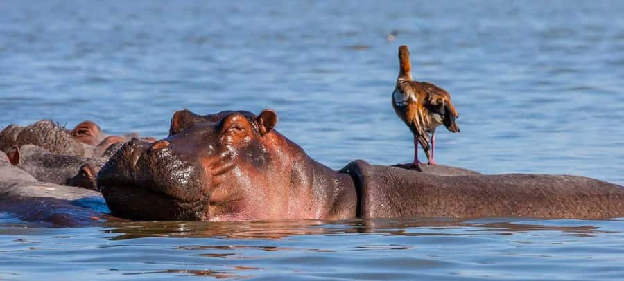 2-Day Wildlife & Nature Tour: Lake Nakuru & Naivasha Safari! - Baboon Cliff gives you the big picture