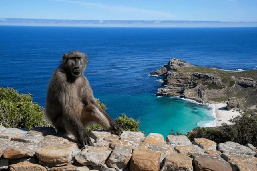 2-Day Wildlife & Nature Tour: Lake Nakuru & Naivasha Safari! - What the $390 price means