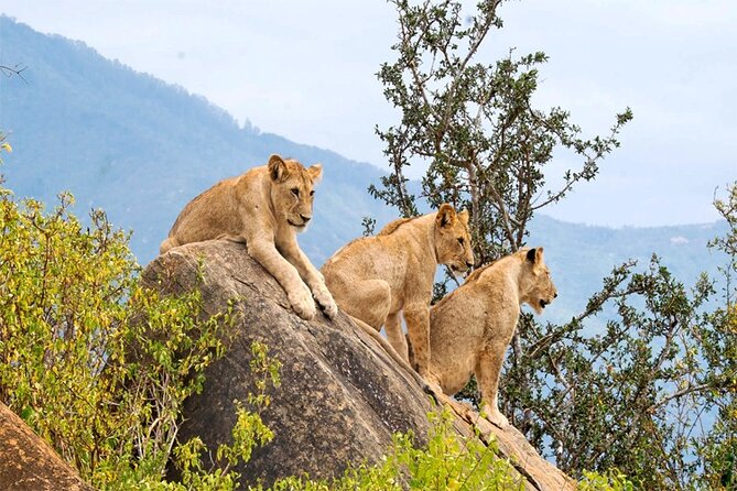 2 Days 1 Night Amboseli National Park Safari from Nairobi - The Nairobi pickup and road to Emali