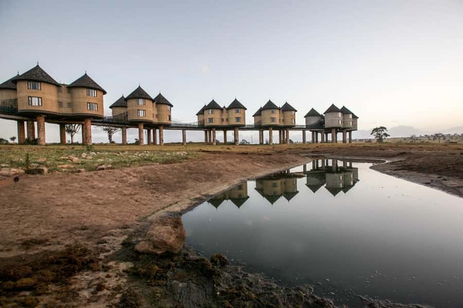 2 days 1 night saltlick safari from Diani/Mombasa - Why this short safari works from the Kenyan coast