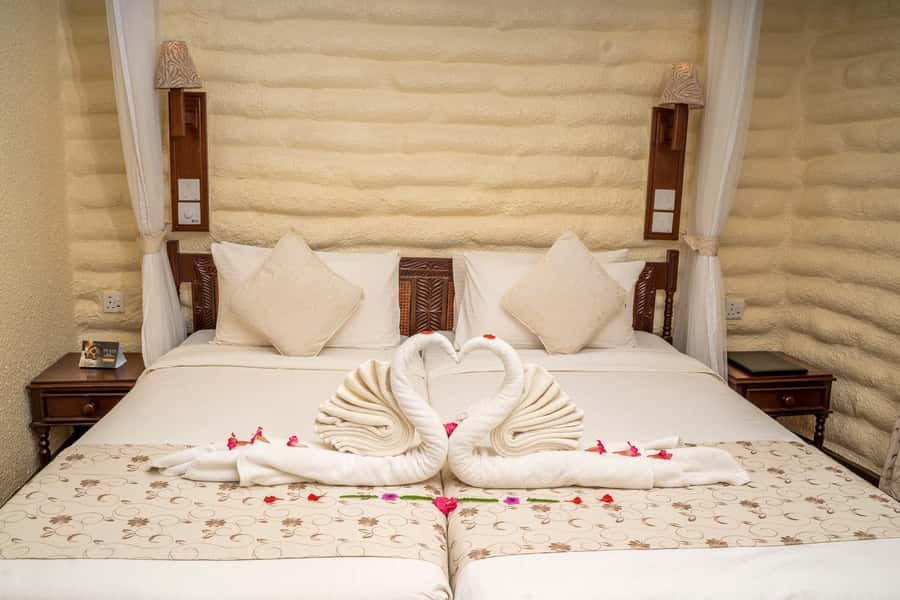 2 days 1 night saltlick safari from Diani/Mombasa - Saltlick Safari Lodge and its water-hole views
