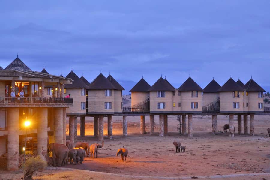 2 days 1 night saltlick safari from Diani/Mombasa - The early-morning game drive on day two