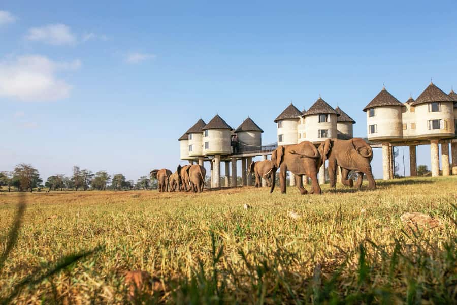 2 days 1 night saltlick safari from Diani/Mombasa - Who will enjoy this safari most