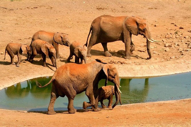 2 Days (1 night); Tsavo East & Saltlick Safari: - Key points to know before booking