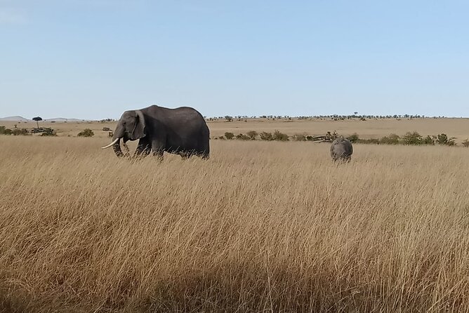 2 Days Adventurous Safari in Amboseli (Mid Range Tour) - What the $1,071.88 price includes