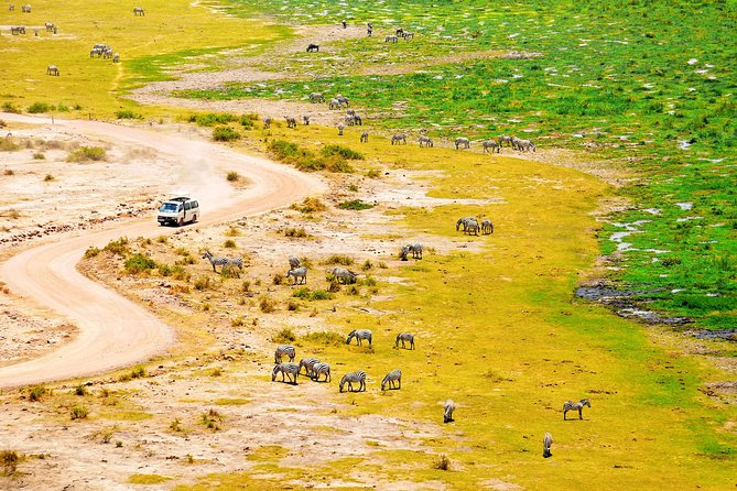 2 Days Amboseli Getaway Trip - Elephants, Tim, and the character of Amboseli