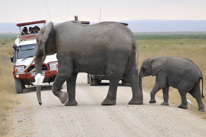2 Days Amboseli Getaway Trip - What $385 per person really gets you