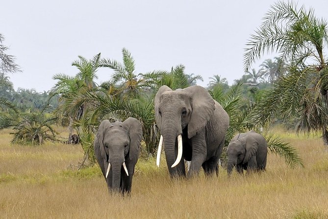 2 Days Amboseli Getaway Trip - Practical points before you book