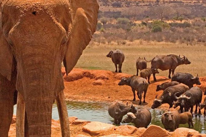2 Days Amboseli National Park Safari- Guarantee Daily Departure - The Nairobi pickup and the long road south