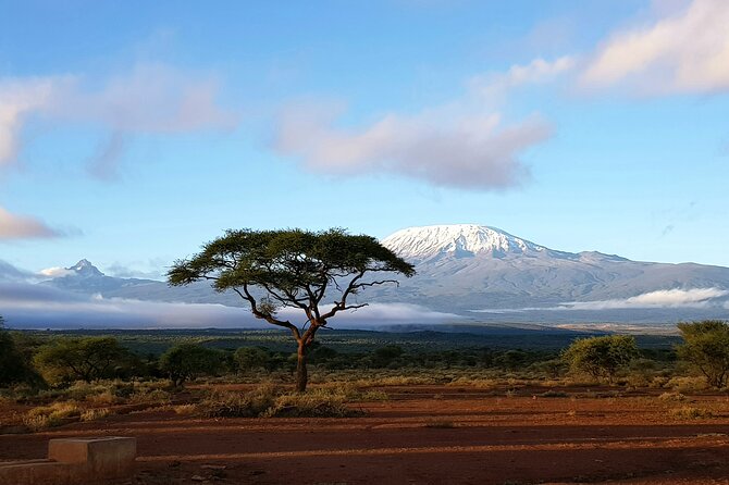 2 Days Amboseli Park Overnight Private Safari - The 4 p.m. afternoon game drive