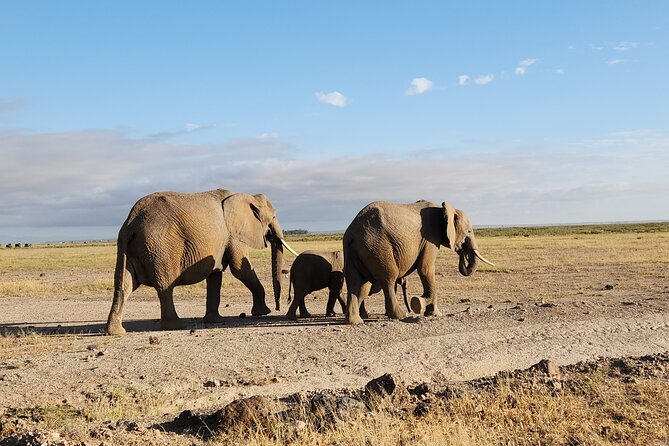 2 Days Amboseli Park Overnight Private Safari - Entering Amboseli and reaching the lodge