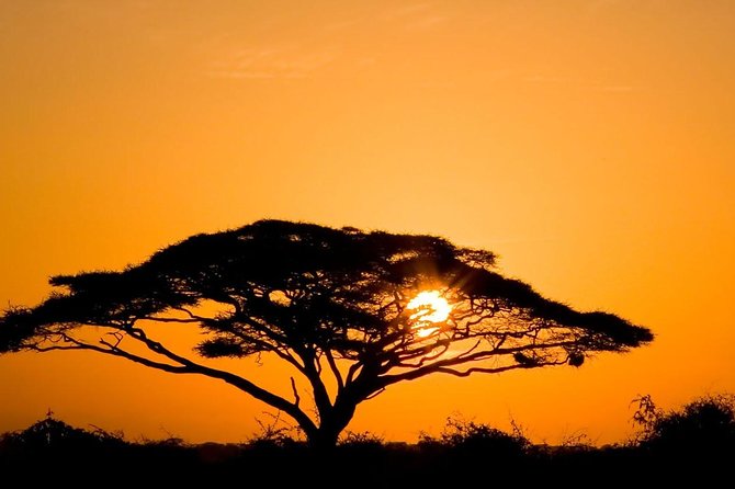 2 Days Amboseli Private Safari - Why a two-day Amboseli safari works