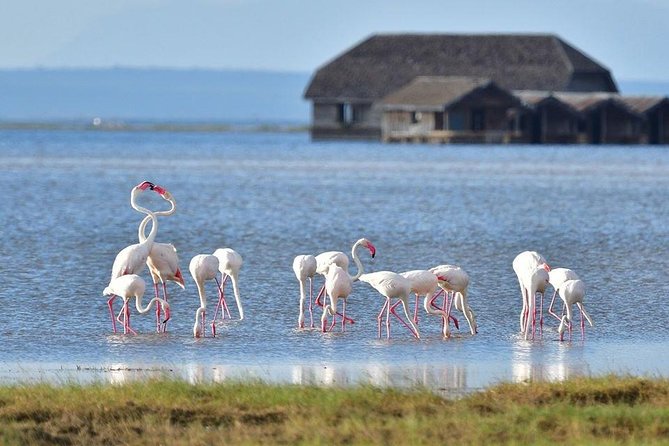 2 Days Amboseli Private Safari - Entering Amboseli and seeing five habitats