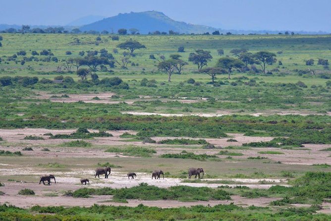 2 Days Amboseli Private Safari - The optional Maasai village visit