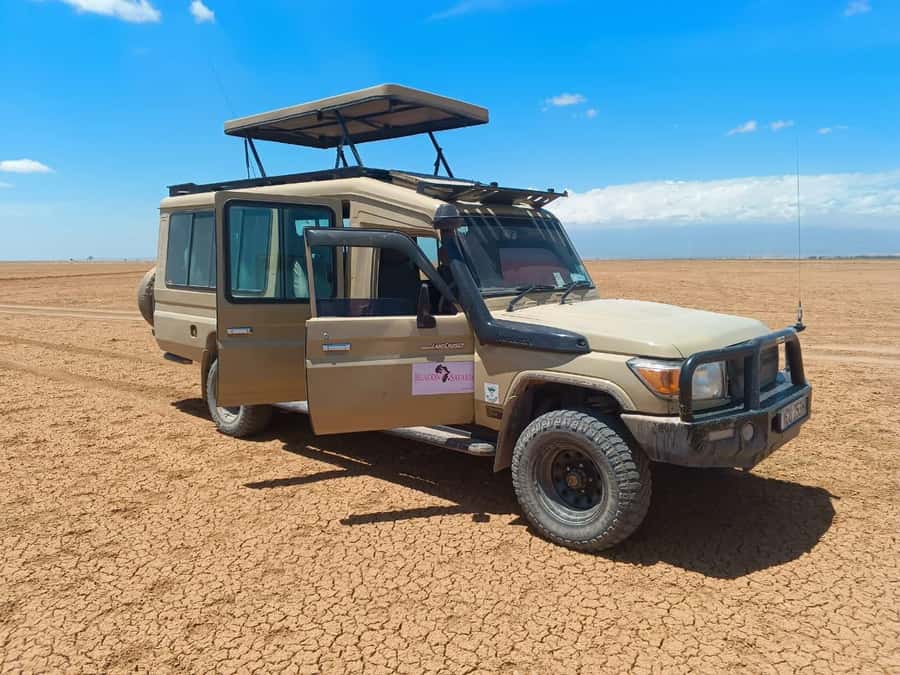 2 Days Amboseli Safari - Why Amboseli Works for a Two-Day Safari