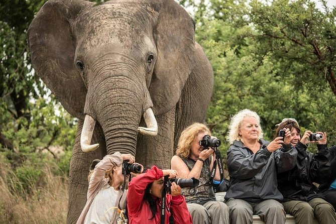2 Days Amboseli Safari Adventure from Nairobi Classic Game Drives - Why Amboseli works so well for a short safari