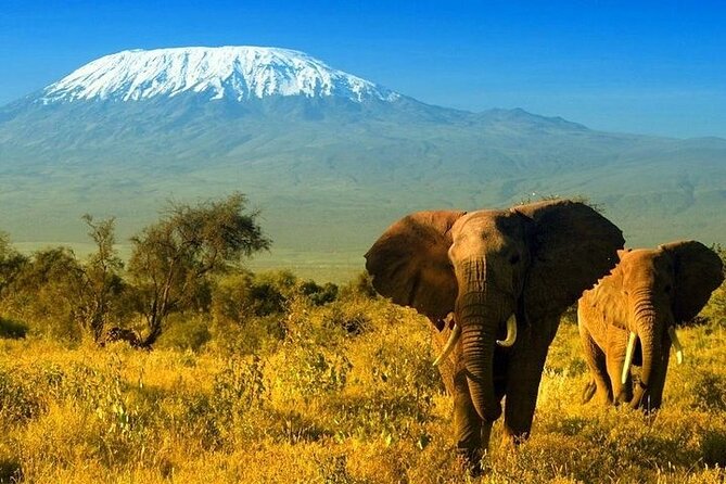 2 Days and 1 Night Amboseli Safari from Nairobi - Nairobi to Amboseli: a long road to a famous view