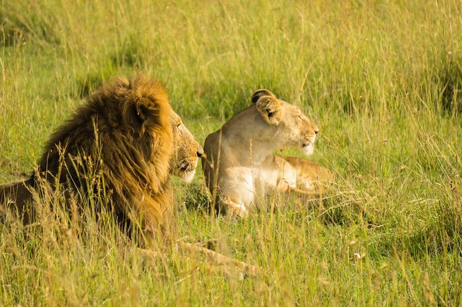 2 Days Budget Safari Masai Mara - Guides Daniel and James add value to the experience