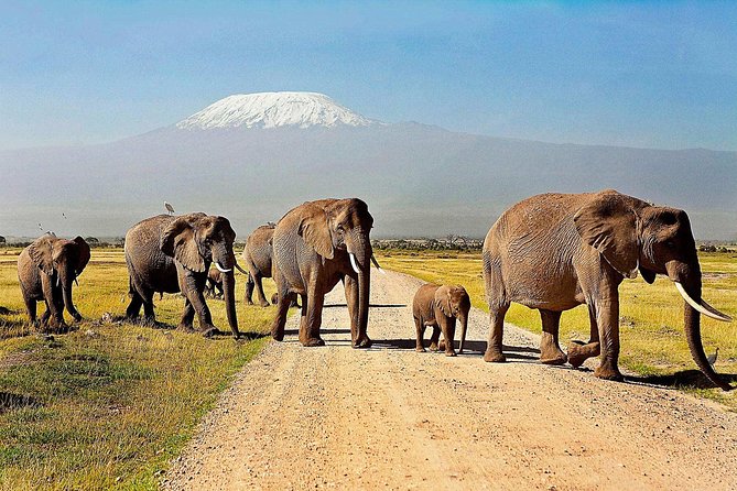 2 days group safari to Amboseli National park (Mon-Wed-Sat only) - Arriving at Amboseli around lunchtime