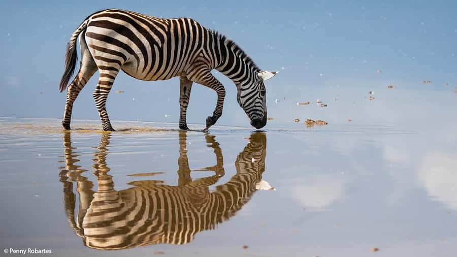 2 Days Group tour to Amboseli Using Landcruiser 4x4 Jeep - The Nairobi to Amboseli drive