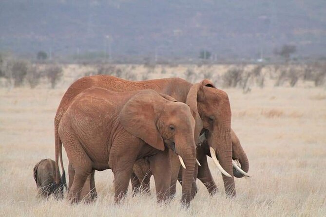 2 Days Kenya Safari special Tsavo East and Taita hills Saltlick from Mombasa - Entering Tsavo East near Voi
