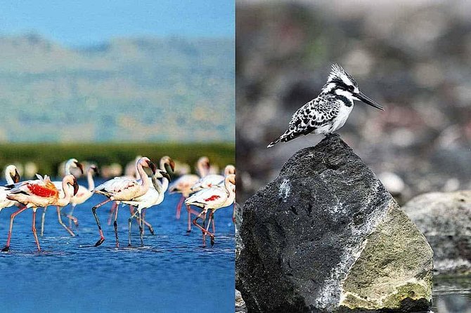 2 Days Lake Elementaita National park Safari - The 7:00 AM start and three-hour drive