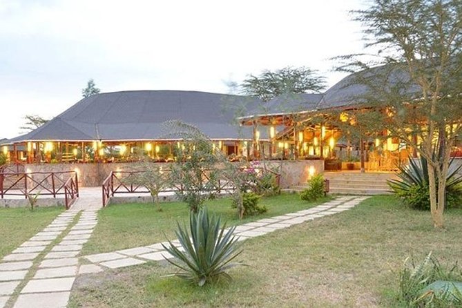 2 Days Lake Elementaita National park Safari - The second morning: game drive, then birds