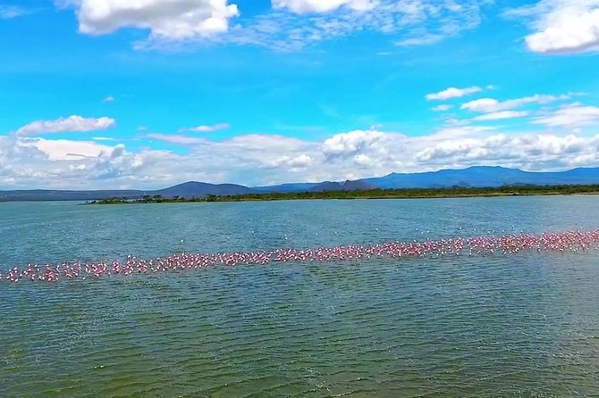 2 Days Lake Elementaita National park Safari - What the $675 price really covers